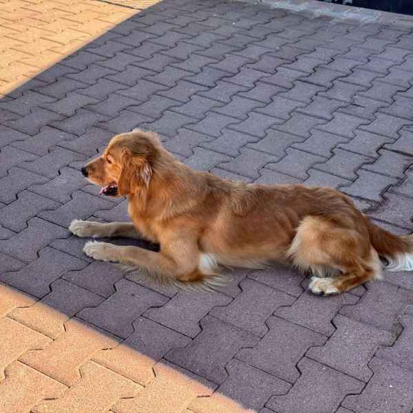 Zoe